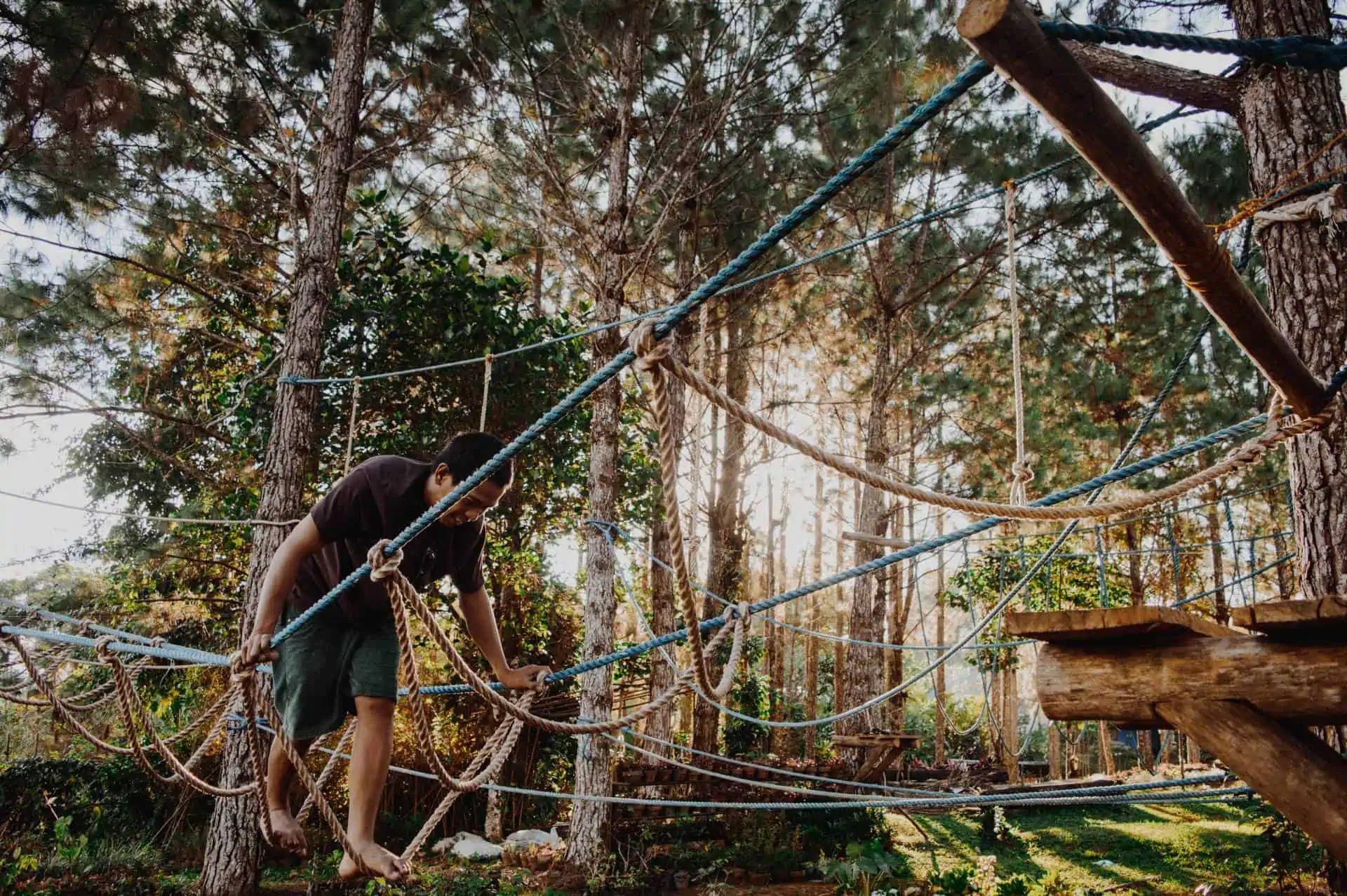 How to Create a DIY Agility Course in Your Backyard